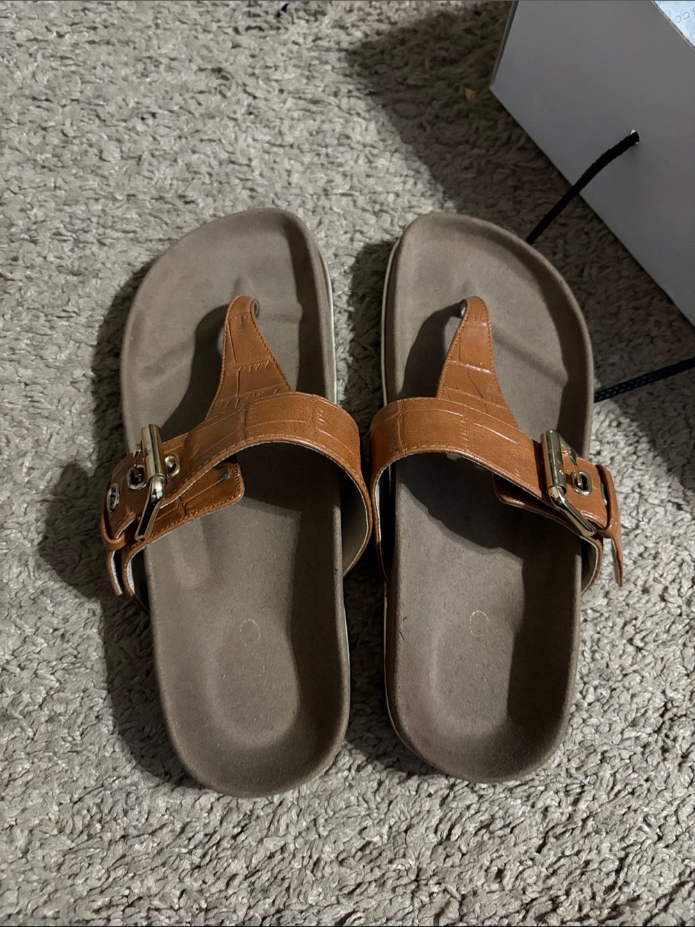 Aldo Brown Leather Buckle Toe-Post Sandals